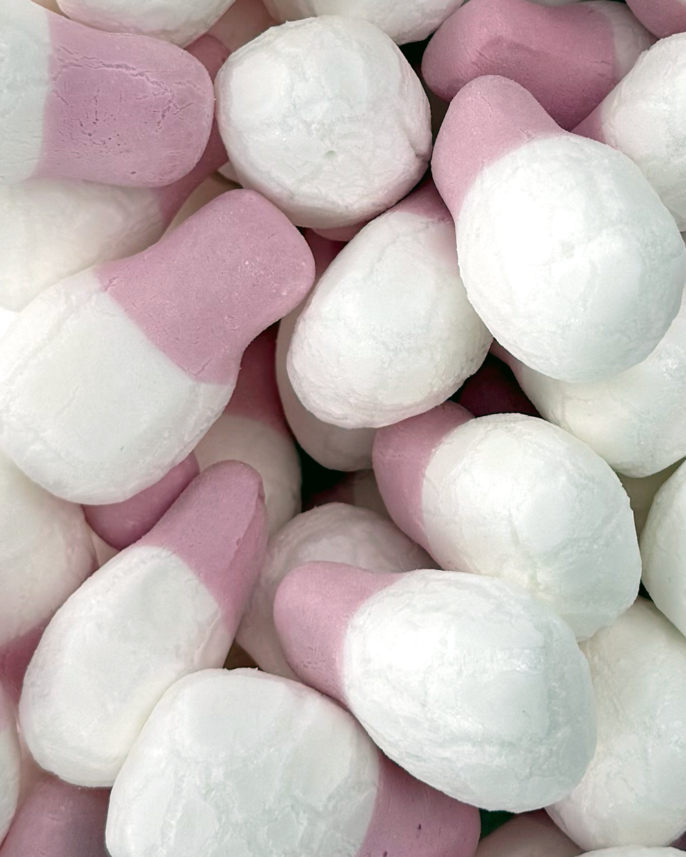 Freeze Dried Squashies