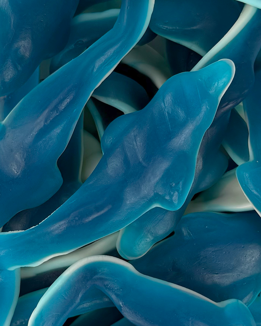 Giant Dolphins