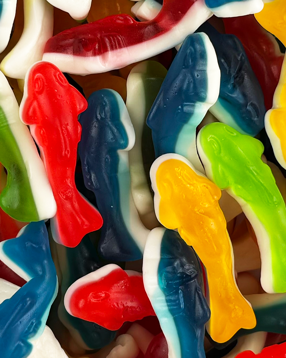 Gummy Sharks