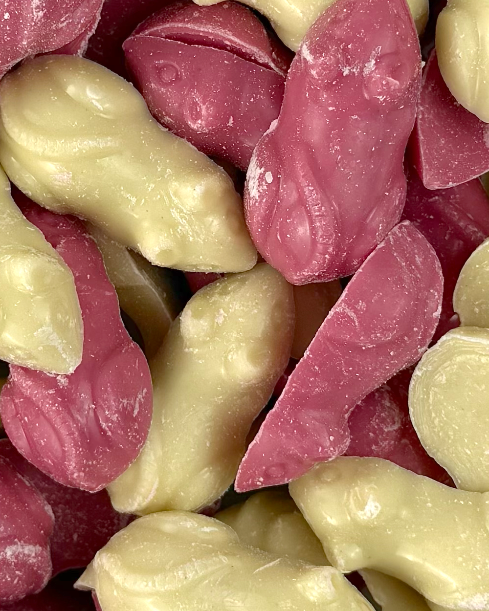 Pink and White Mice